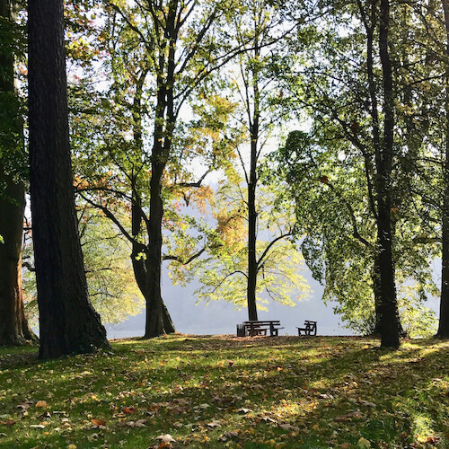 Schlosspark Prossen